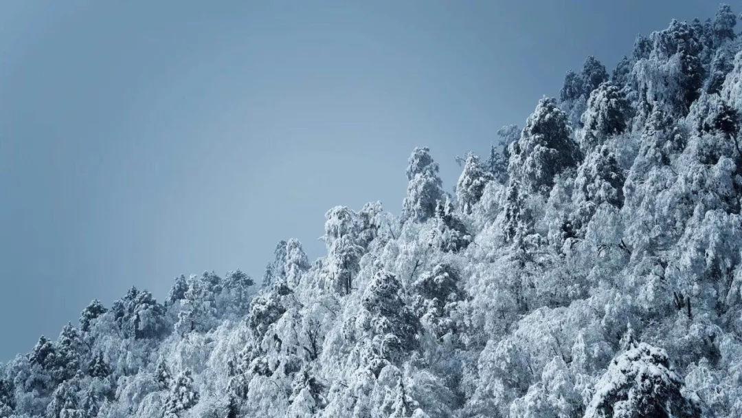 惊艳！来看“尔滨”校园冰雪书画摄影作品