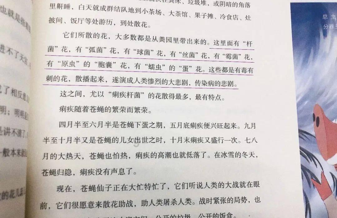 小仓鼠吃瓜子