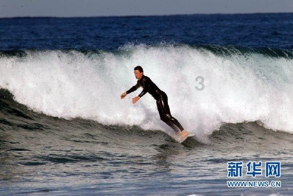 森系丛林