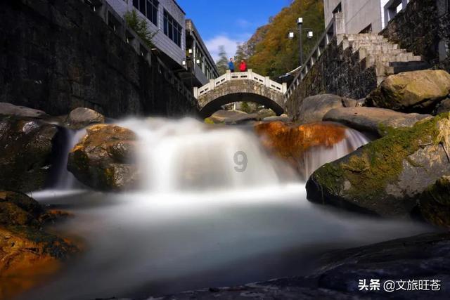篮球运动员营救
