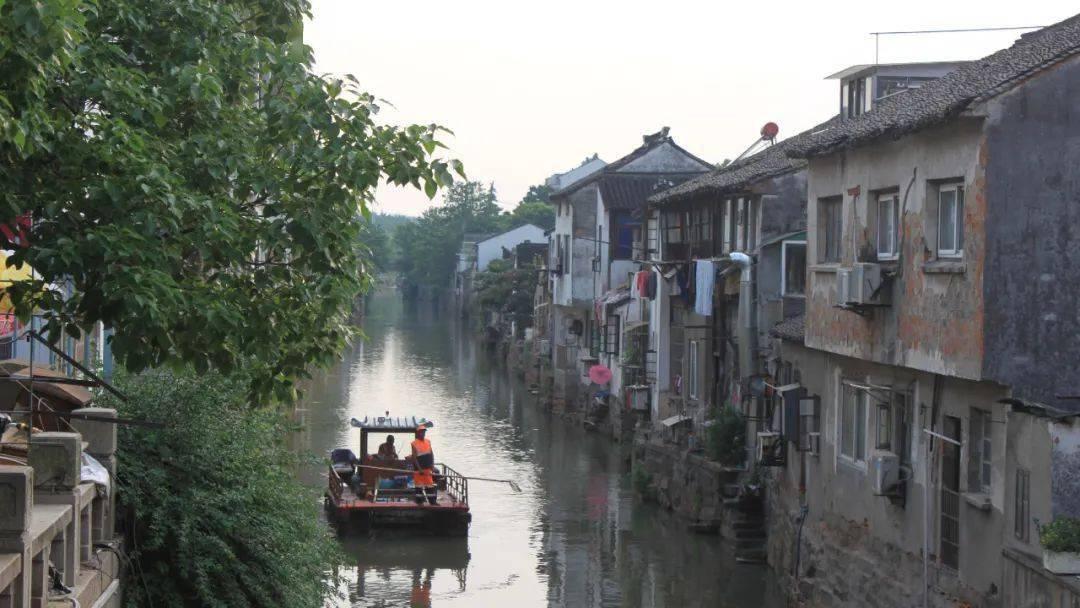解惑蜗牛,探秘怎么样选好的酸奶问答平台